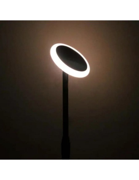 6670-Piantana Solare LED da Giardino  con sensore crepuscolare Colore Bianco e Nero  -5