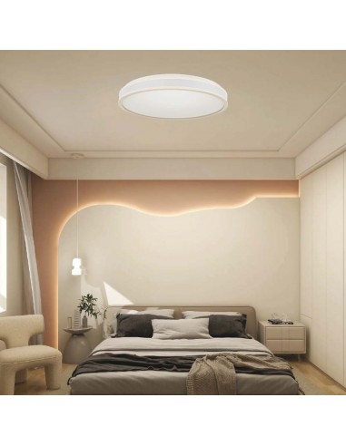 6987-Lampadario LED con Montaggio a Plafone  Dimmerabile TRIAC d mm h mm Colore Bianco -4