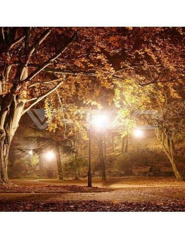 7060-Lampione LED con Portalampada E Max  Colore Nero h cm IP-3