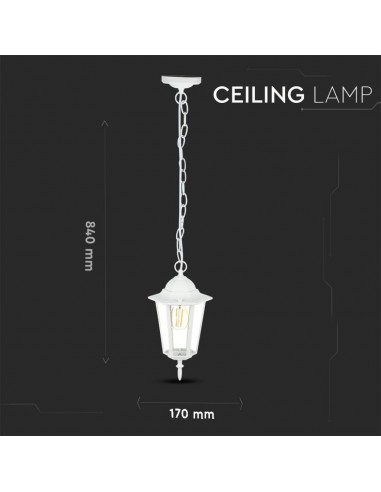 7073-Lampadario LED da Giardino a Sospensione in Alluminio con Portalampada EMax  Colore Bianco Opaco IP-3