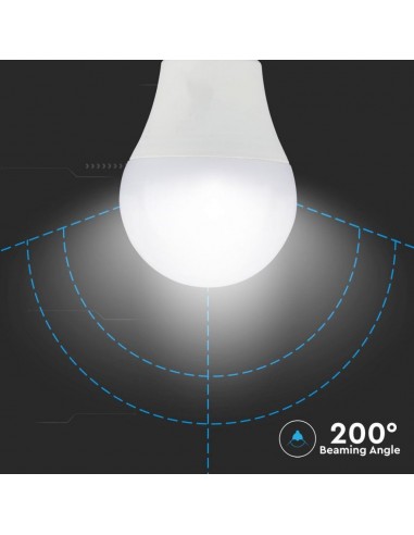 7309-Lampadina LED E  A  in   Blister  Pezzi-7