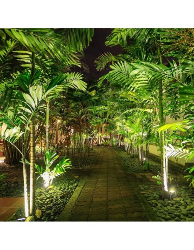 7546-Faretto LED da Giardino  con Picchetto Colore Nero Luce Verde -4