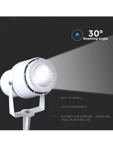 Faretto LED da Giardino 12W con...