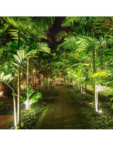 7552-Faretto LED da Giardino  con Picchetto Colore Grigio Luce Verde -4