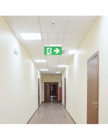 7675-Lampada LED di emergenza con Installazione in e Pulsante di Autotest-4