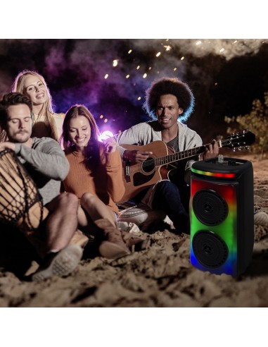 7676-Altoparlante Trolley Ricaricabile  con Microfono Cablato Telecomando e Casse  x  pollici-4