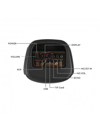 Altoparlante Trolley Ricaricabile 20W...