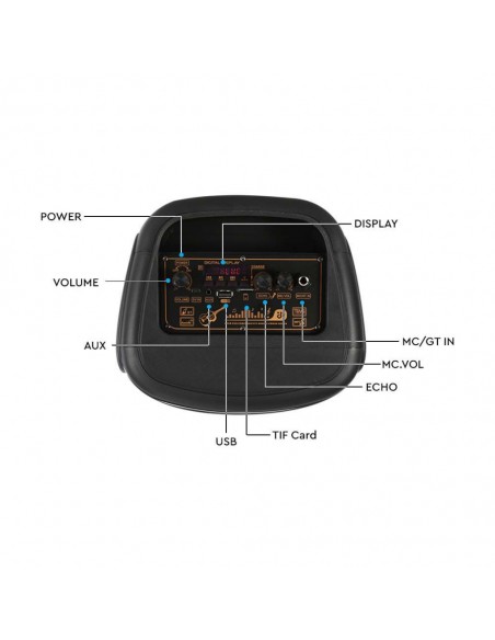 Altoparlante Trolley Ricaricabile 20W con Microfono Cablato Telecomando e Casse 2 * 6.5 pollici
