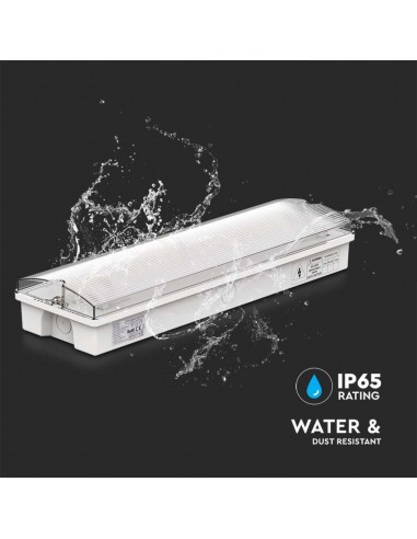 7687-Lampada LED di emergenza con Installazione a Parete e Pulsante di Autotest-7