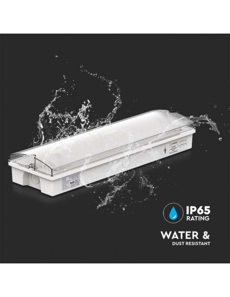 7687-Lampada LED di emergenza con Installazione a Parete e Pulsante di Autotest-7