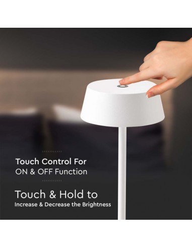 Lampada LED da Tavolo 2W Bianco in...