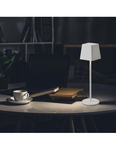 7691-Lampada LED da Tavolo  Colore Bianco in Alluminio ricaricabile con USB C Touch Dimmerabile  IP-4