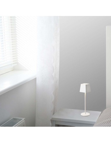 7691-Lampada LED da Tavolo  Colore Bianco in Alluminio ricaricabile con USB C Touch Dimmerabile  IP-5