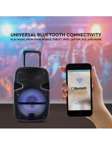 Altoparlante Trolley Ricaricabile 35W...