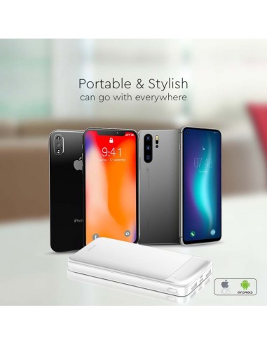 Power Bank 10000mAh con Ricarica...