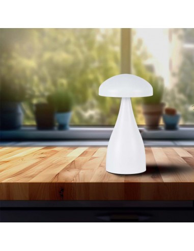 7896-Lampada LED da Tavolo  con Batteria mAh Ricaricabile USB C Colore Bianco in Metallo Touch Dimmerabile in-4