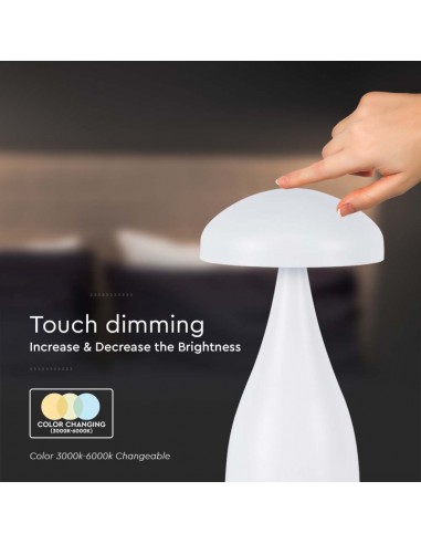 7896-Lampada LED da Tavolo  con Batteria mAh Ricaricabile USB C Colore Bianco in Metallo Touch Dimmerabile in-7
