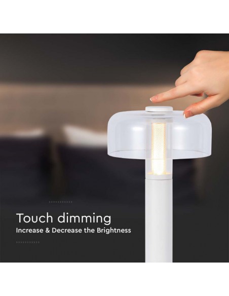 7941-Lampada LED da Tavolo  Colore Bianco e Bianco Trasparente Ricaricabile con USB C Touch Dimmerabile -7