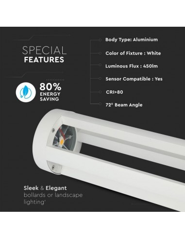 8327-Lampada LED da Giardino Fissaggio a Terra LED COB  Colore Bianco hcm  -5