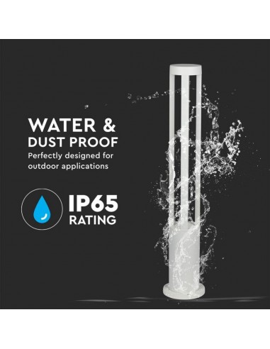 8327-Lampada LED da Giardino Fissaggio a Terra LED COB  Colore Bianco hcm  -6