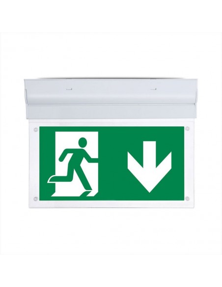 836-Lampada LED Chip Samsung di Emergenza  LED Montaggio a Plafone Base Inclinabile Modalità SA e SE h di Ricarica  IP-1