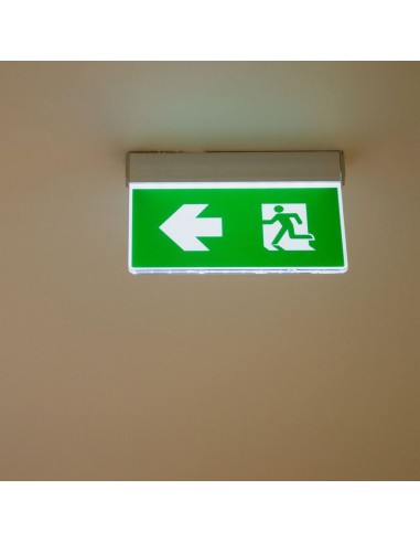 836-Lampada LED Chip Samsung di Emergenza  LED Montaggio a Plafone Base Inclinabile Modalità SA e SE h di Ricarica  IP-3