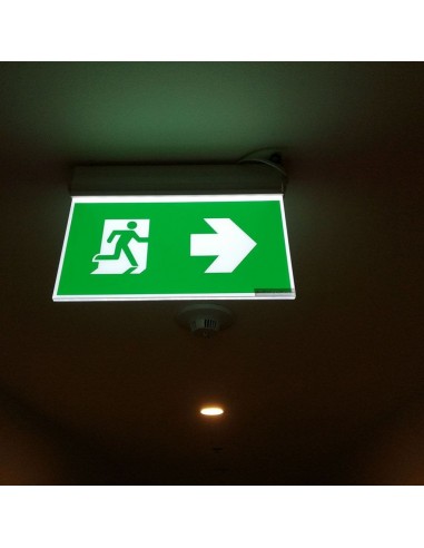 836-Lampada LED Chip Samsung di Emergenza  LED Montaggio a Plafone Base Inclinabile Modalità SA e SE h di Ricarica  IP-4