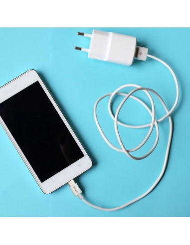 8486-Cavo da USB Tipo-C a USB-A m Ricarica A Silver Series Colore Bianco-2