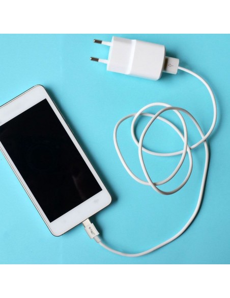 8486-Cavo da USB Tipo-C a USB-A m Ricarica A Silver Series Colore Bianco-2