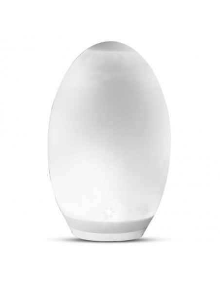 8557-Lampada Solare LED a Forma di Uovo -1