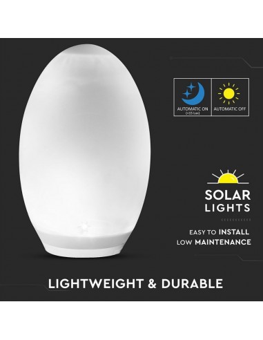 8557-Lampada Solare LED a Forma di Uovo -5