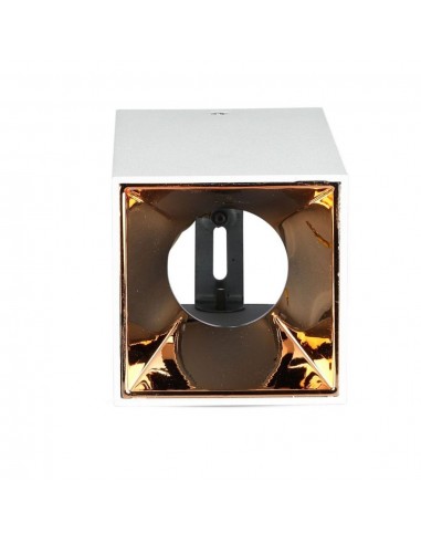 Portafaretto LED Montaggio a Plafone...