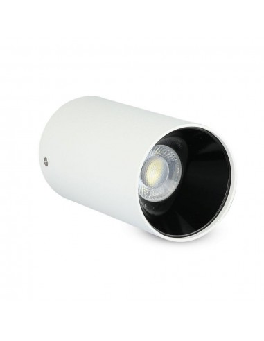 Portafaretto LED Montaggio a Plafone...