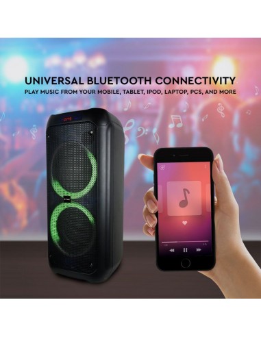 Altoparlante Trolley Ricaricabile 40W...