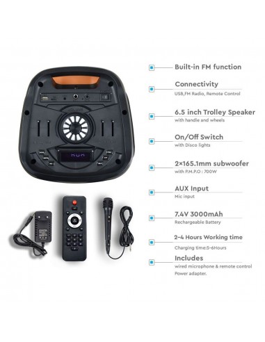 8981-Altoparlante Trolley Ricaricabile  con Microfono Cablato Telecomando RGB per Casse  x -5