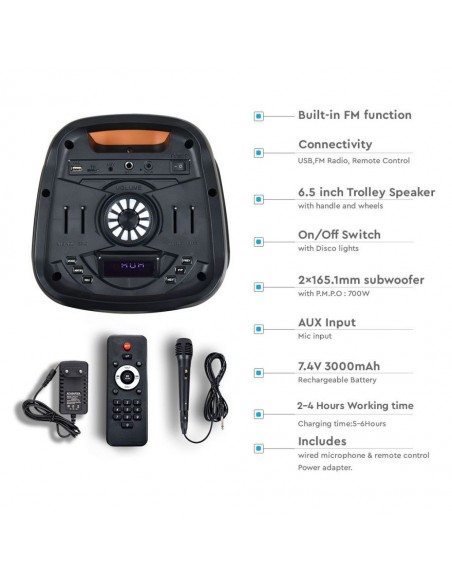 8981-Altoparlante Trolley Ricaricabile  con Microfono Cablato Telecomando RGB per Casse  x -5