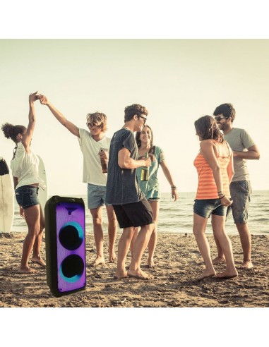 8982-Altoparlante Trolley Ricaricabile  con Microfono Cablato Telecomando RGB per Casse  x  pollici-3