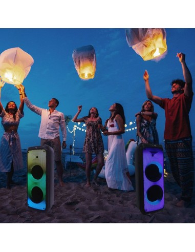 8982-Altoparlante Trolley Ricaricabile  con Microfono Cablato Telecomando RGB per Casse  x  pollici-4