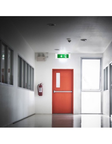 899-Lampada LED Chip Samsung di Emergenza -2