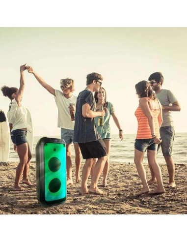 8990-Altoparlante Trolley Ricaricabile  con Microfono Cablato Telecomando e Casse  x  pollici-3