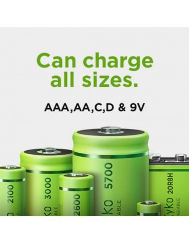 GP202247-GP Battery Caricabatterie Universale ReCyko B per Ricarica Contemporanea di Batterie Ricaricabili -4