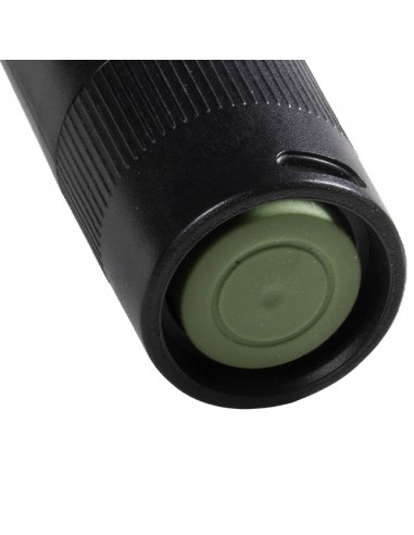 GP450067-GP Battery Torcia LED C LM Fascio Luminoso Regolabile con  Batteria Mini Stilo AA-6