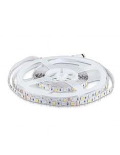 Striscia LED SMD5050 60 LED IP20 RGB+6400K
