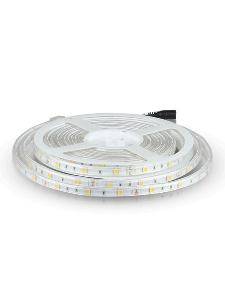 Striscia LED SMD5050 30 LED 6400K IP65
