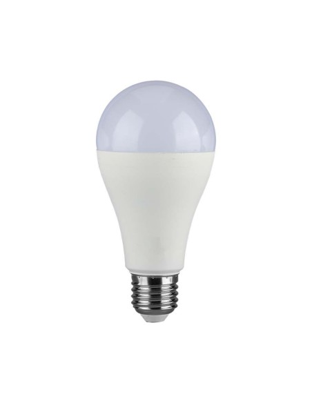 Lampadina LED E27 15W A65 6400K
